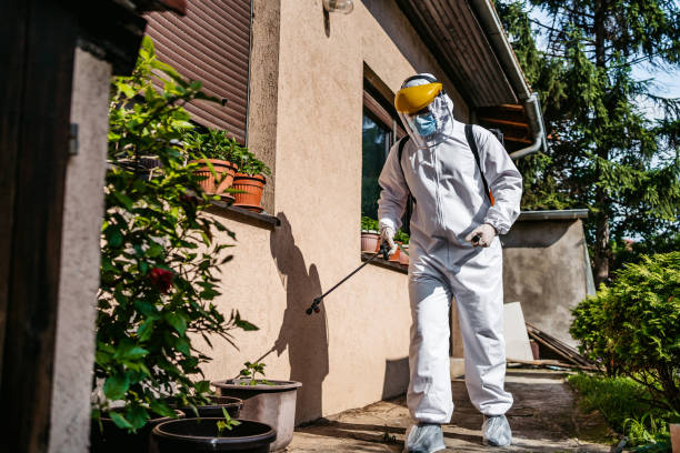 Best Mosquito Control Services  in Leavittsburg, OH