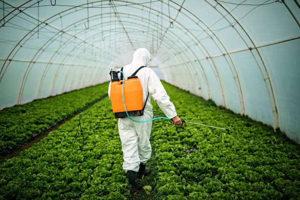 Pest Prevention Services in Leavittsburg, OH