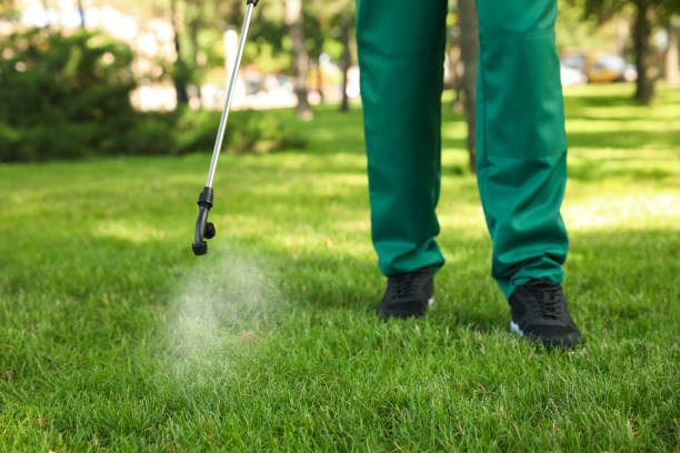 Best Rat Extermination Near Me  in Leavittsburg, OH