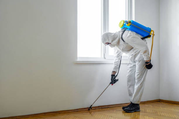Best Termite Control Services  in Leavittsburg, OH