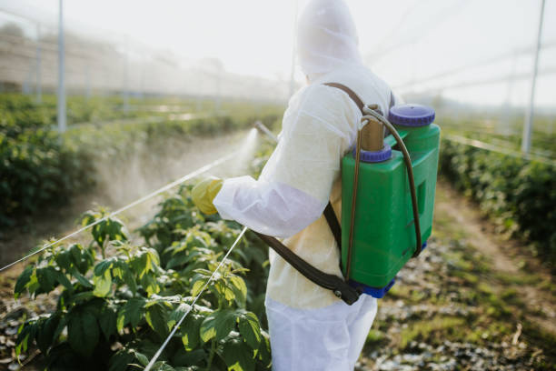 Best Commercial Pest Control Services  in Leavittsburg, OH